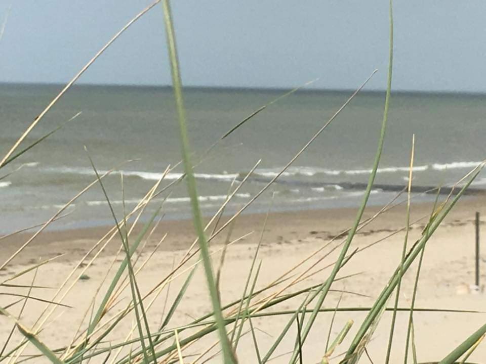 Luxe vakantiechalet met omheinde tuin Bredene 6pers  Buitenkant foto
