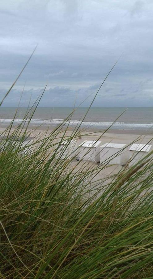 Luxe vakantiechalet met omheinde tuin Bredene 6pers  Buitenkant foto